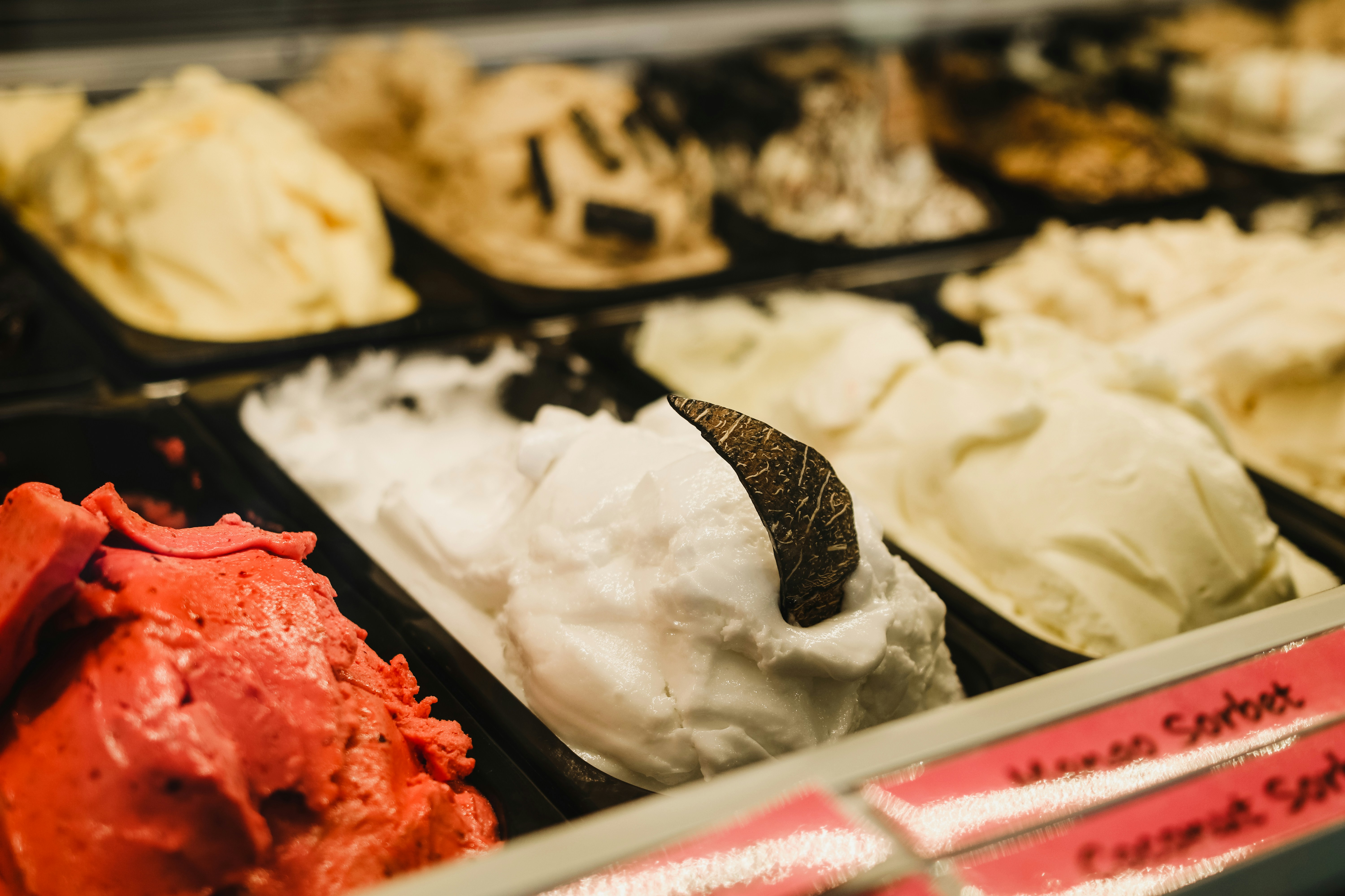 SAVI gelato counter